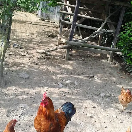 A Un Passo Dal Collio