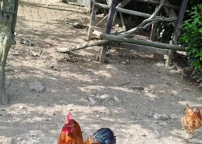 A Un Passo Dal Collio